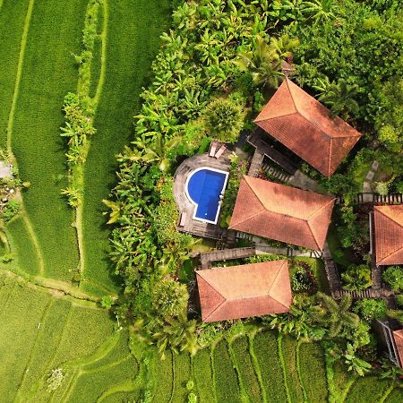 Barong Villas 시데멘 외부 사진