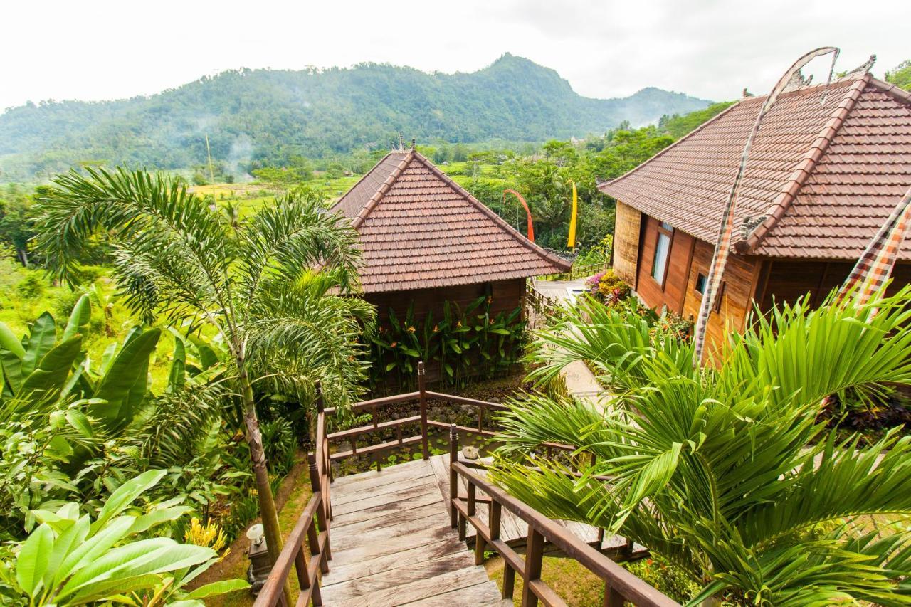 Barong Villas 시데멘 외부 사진