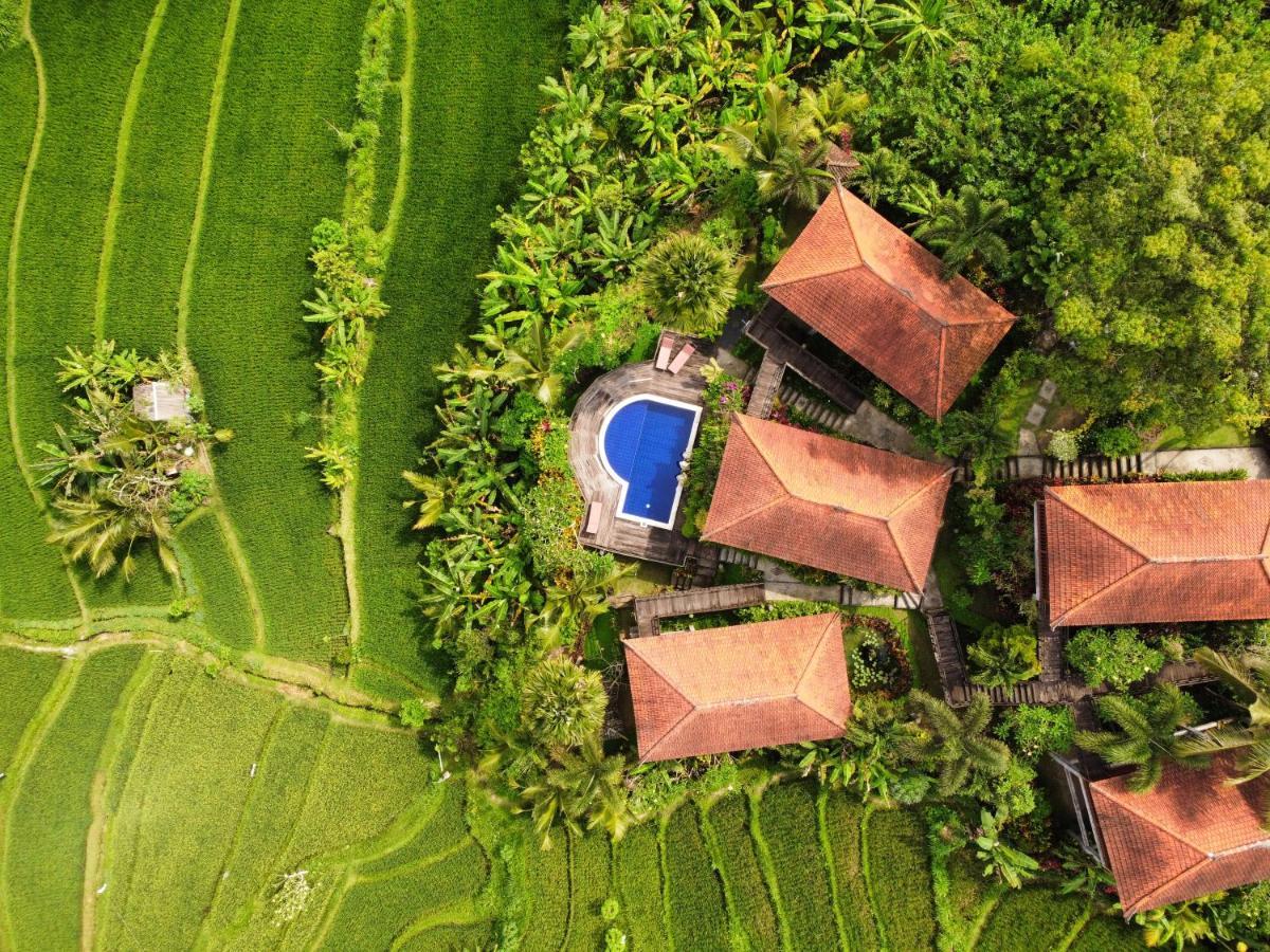 Barong Villas 시데멘 외부 사진