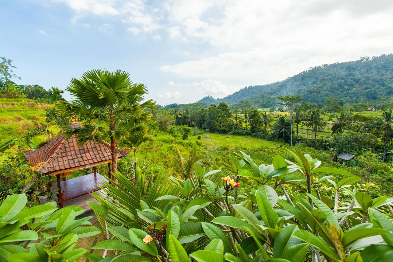 Barong Villas 시데멘 외부 사진