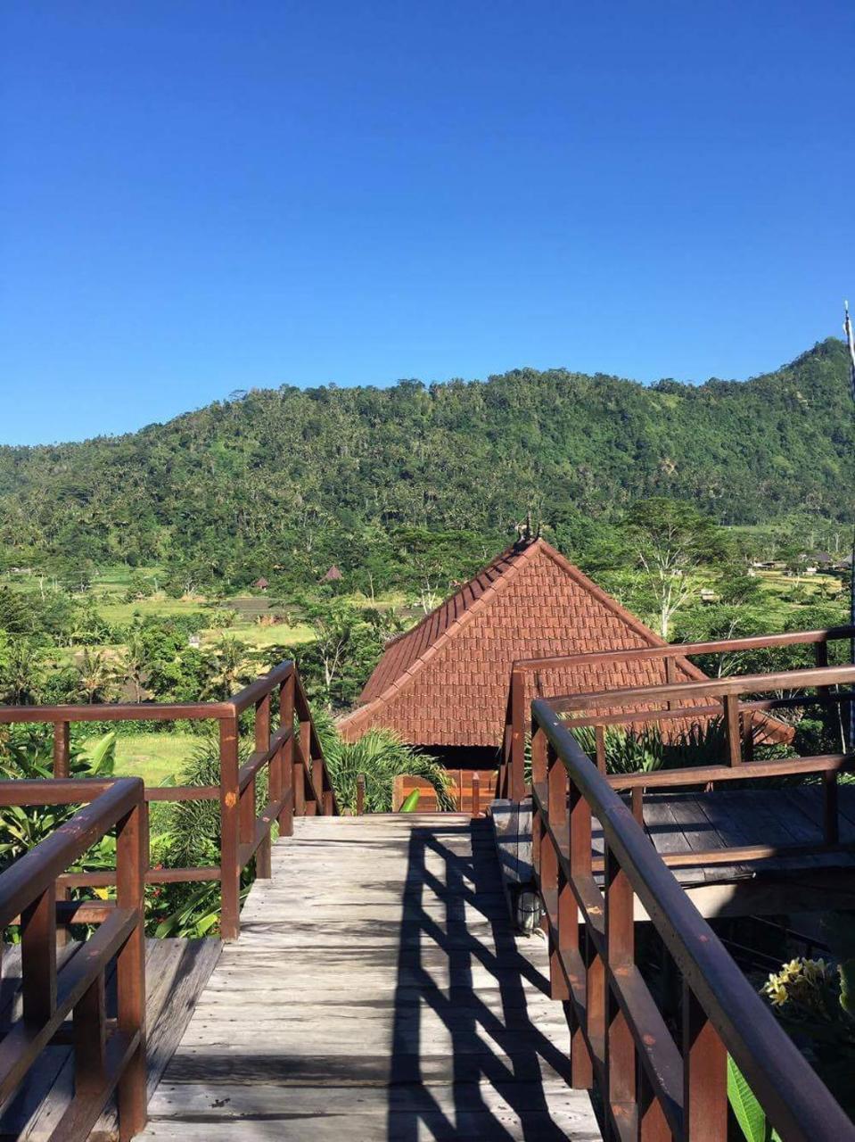 Barong Villas 시데멘 외부 사진