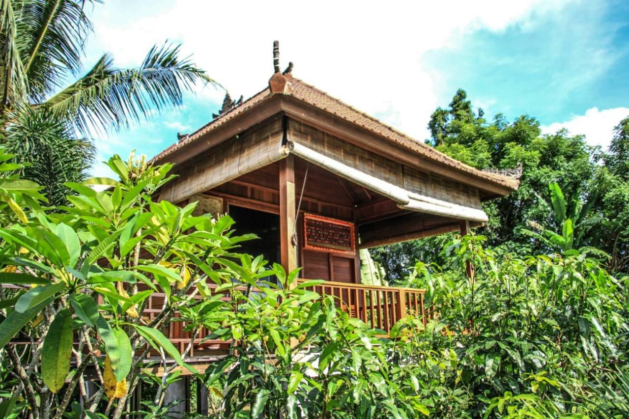Barong Villas 시데멘 외부 사진